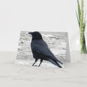 Strand korpsvarta Notecard Kort