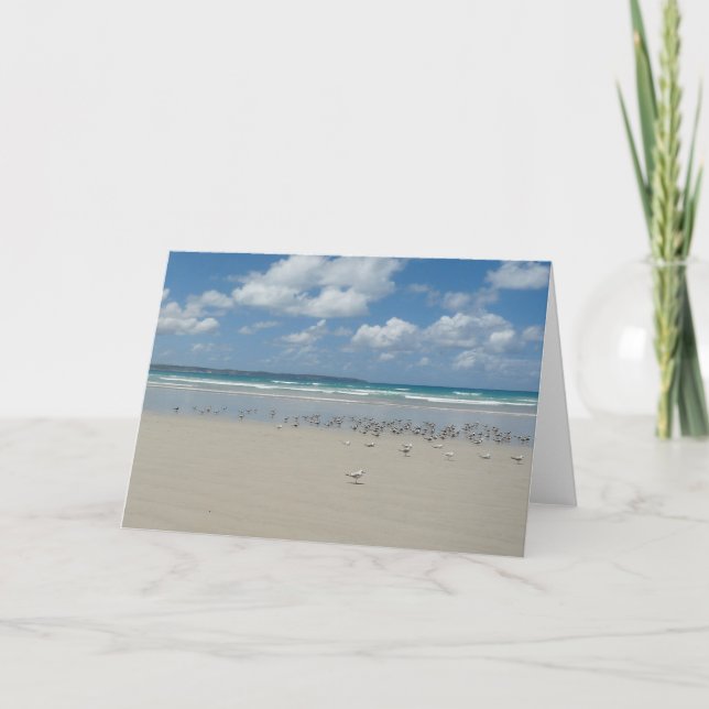 Strand med måsar kort (Framsida)