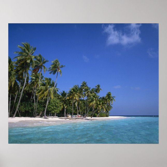 Strand med palmer, Maldiverna Poster (Framsidan)
