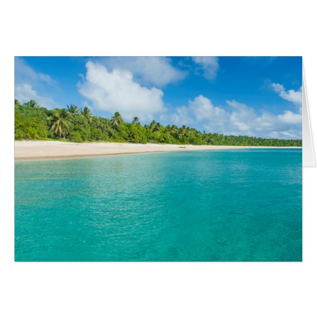 Strand med palmer, Tonga Hälsningskort (Framsidan Horizontal)