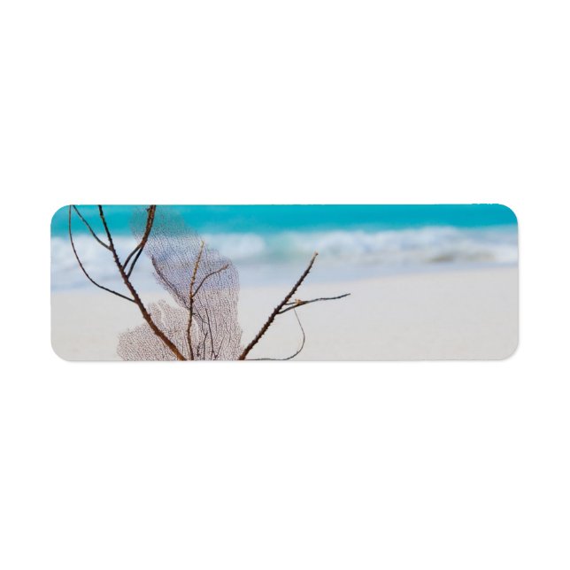 strand- och havskoncept, skönhets- och karibbönor returadress etikett (Framsidan)