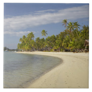 Strand och palmer, Plantation Island Resort Kakelplatta