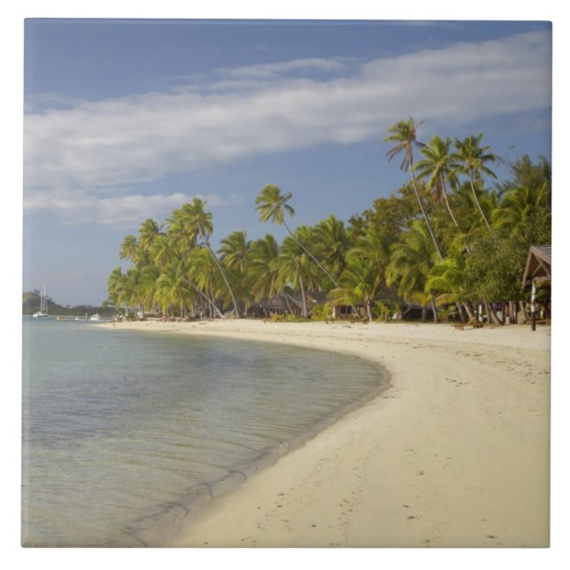 Strand och palmer, Plantation Island Resort Kakelplatta (Framsidan)
