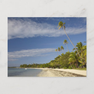 Strand och palmer, Plantation Island Resort Vykort