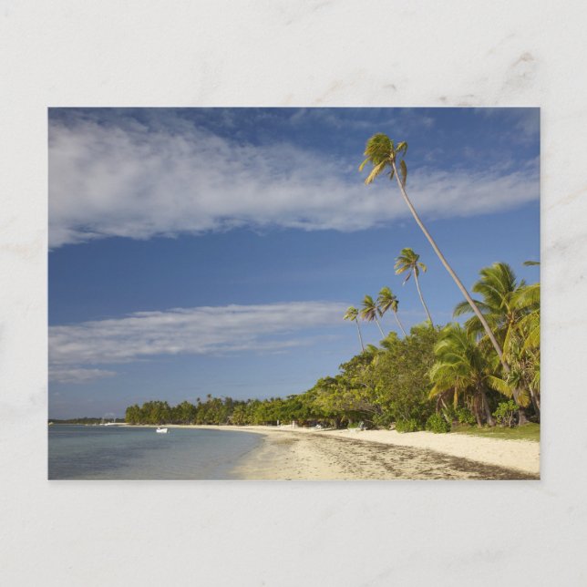 Strand och palmer, Plantation Island Resort Vykort (Framsida)