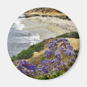 Strand på den La Jolla coven Magnet