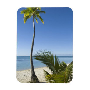 Strand på fastlandet Aitutaki, Cooköarna Magnet