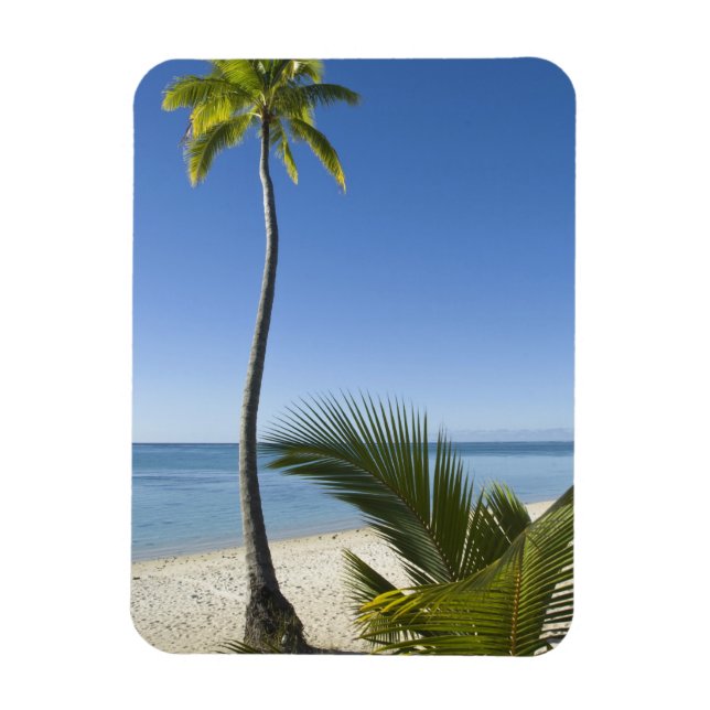 Strand på fastlandet Aitutaki, Cooköarna Magnet (Vertikal)