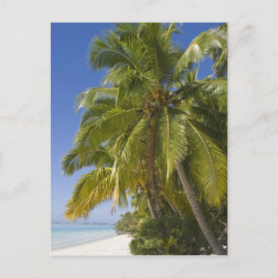 Strand på One Foot-ön, Aitutaki, Cooköarna Vykort
