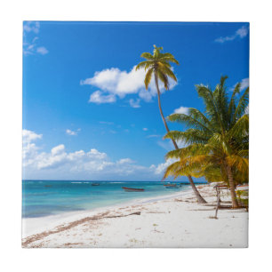 Strand på Saona Dominikanska republiken Kakelplatta