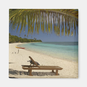 Strand, palmer & solstol magnet