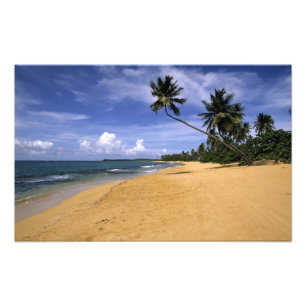 Strand Puerto Rico 2 Fototryck