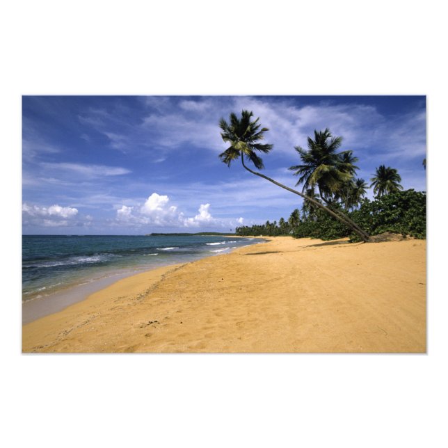 Strand Puerto Rico 2 Fototryck (Framsidan)