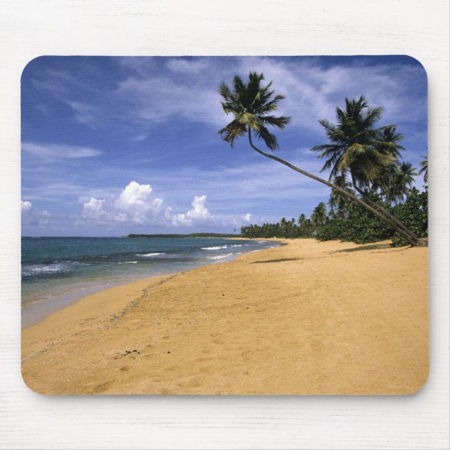 Strand Puerto Rico 2 Musmatta (Framsidan)
