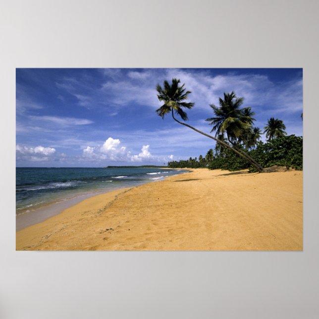 Strand Puerto Rico 2 Poster (Framsidan)