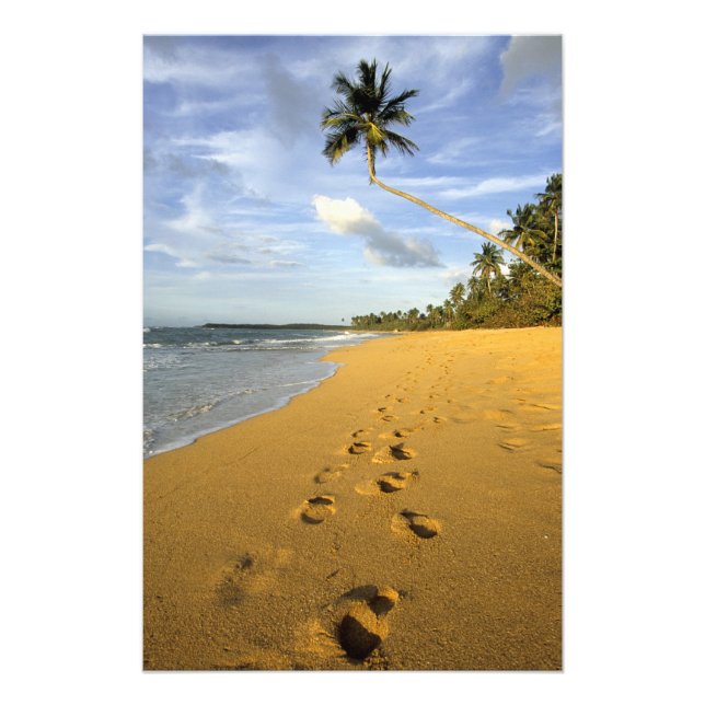 Strand Puerto Rico Fototryck (Framsidan)