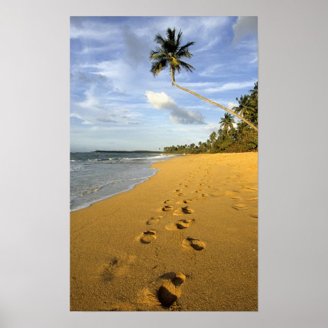 Strand Puerto Rico Poster (Framsidan)
