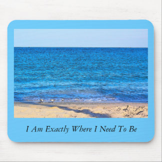 Strand SF, I-förmiddag exakt var jag behöver att Musmatta