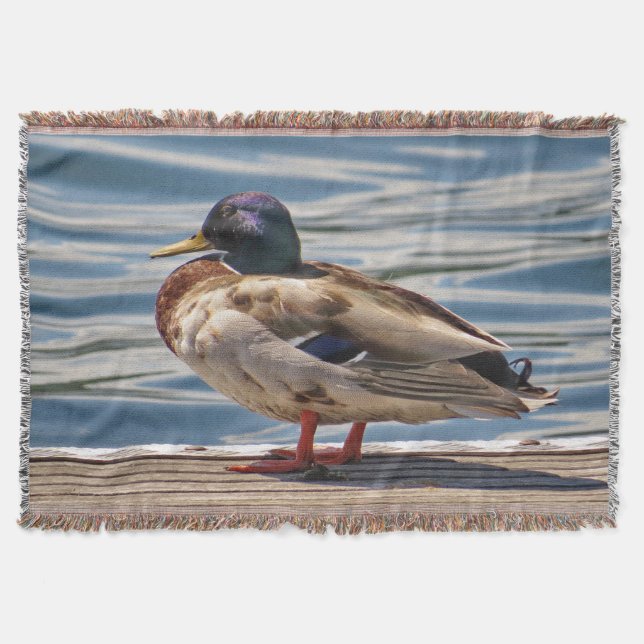 Strand Sid Mallard Anka Filt (Framsidan)