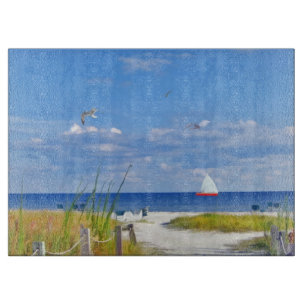 Strand, sjösida och fåglar