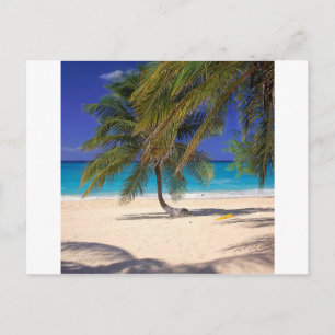 Strand sju Mile tusen dollarCayman Vykort