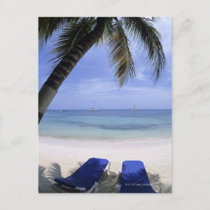 Strand, Solstol, Palmtree, Horisont Över Vykort