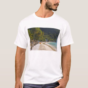 Strand vid Cane Garden Bay, ön Tortola Tee