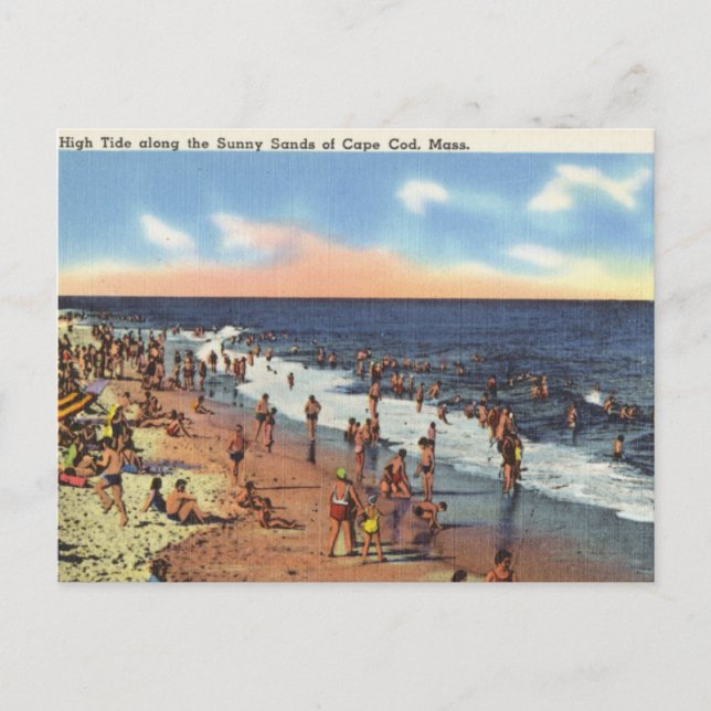 Strand vid Cape Cod Vykort (Framsida)