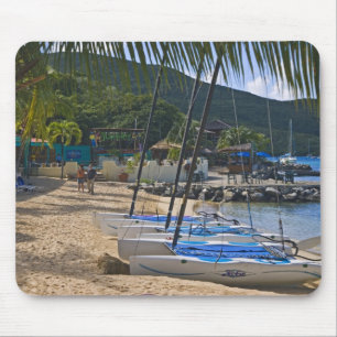 Strand vid Leverick Bay Resort & Marina, Musmatta
