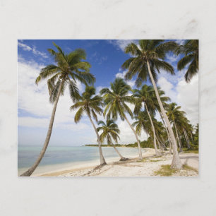 Strand vid Punta Cana Vykort