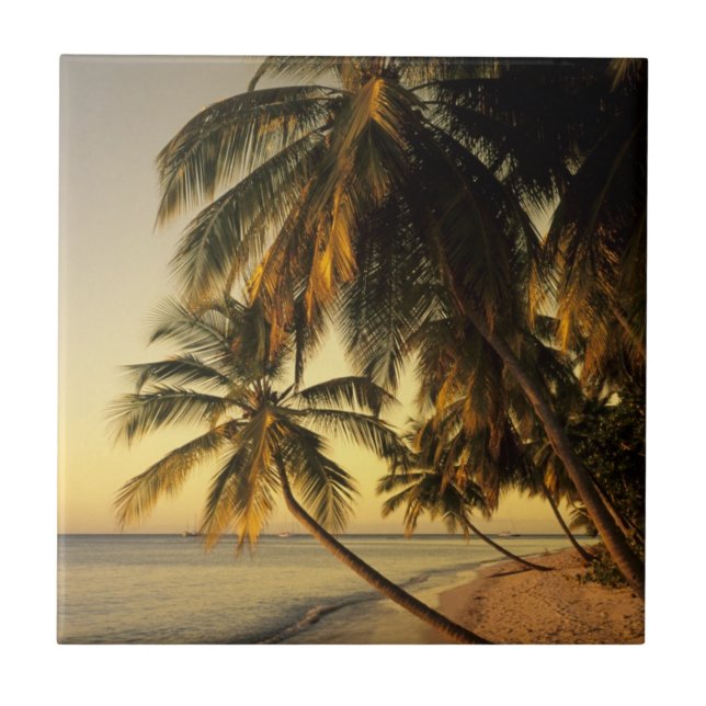 Strand vid solnedgång, Trinidad Kakelplatta (Framsidan)