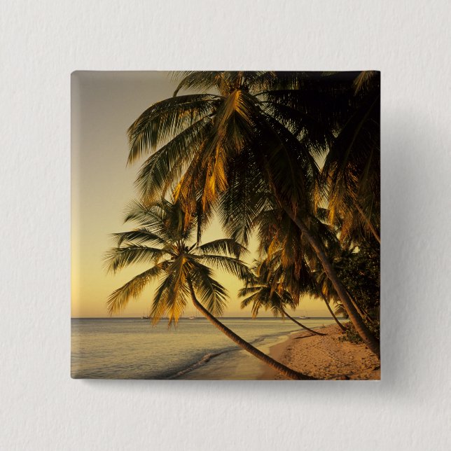 Strand vid solnedgång, Trinidad Knapp (Framsida)