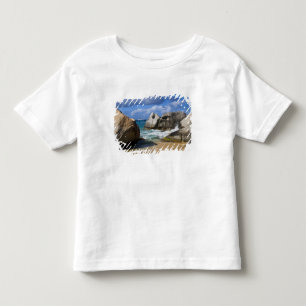 Strand vid Virgin Gorda, Brittiska Jungfruöarna Tee