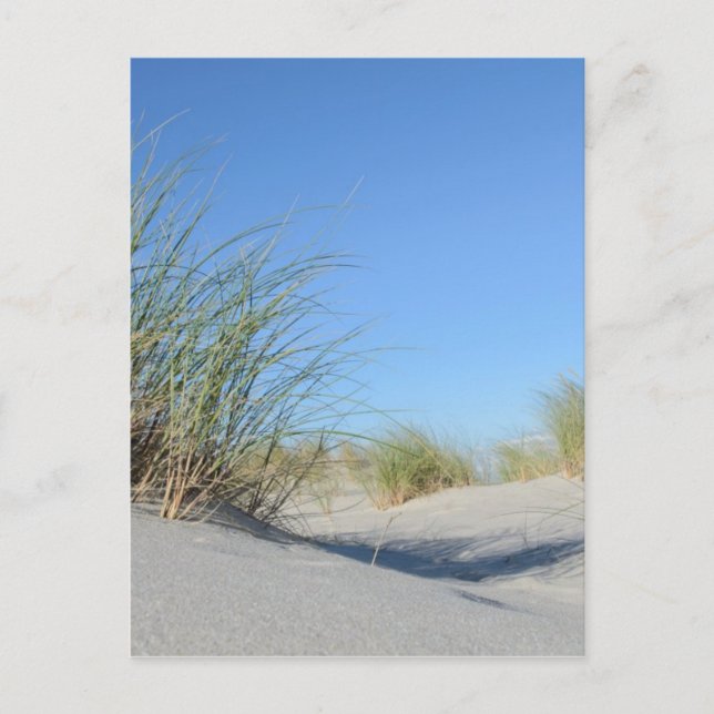 Strand Vykort (Framsida)