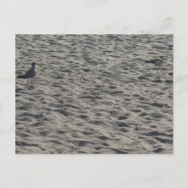 Strand vykort (Framsida)