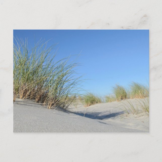 Strand Vykort (Framsida)