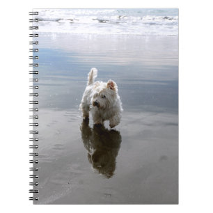 Strand Westie Reflektion Foto Anteckningsbok
