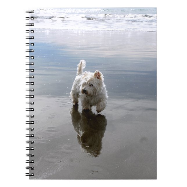 Strand Westie Reflektion Foto Anteckningsbok (Framsidan)