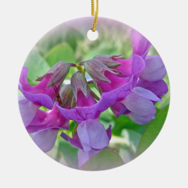 Strandärta - den japonicus lathyrusen - vildblomma julgransprydnad keramik (Framsidan)