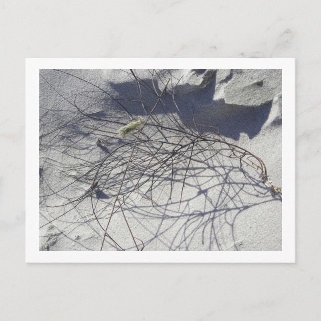 Strandavfall Vykort (Framsida)