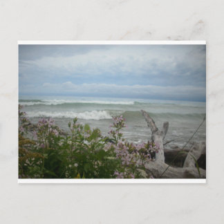 Strandblommor Vykort