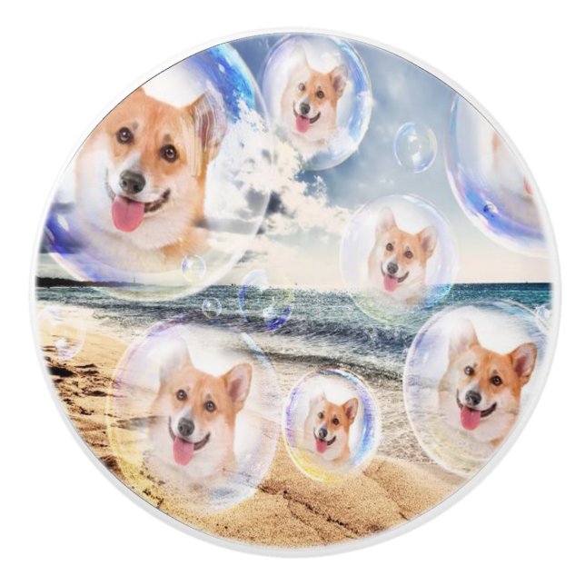 StrandCorgis Knopp (Framsidan)