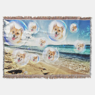 StrandCorgis Mysfilt