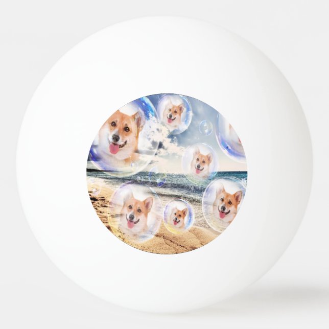 StrandCorgis Pingisboll (Framsidan)