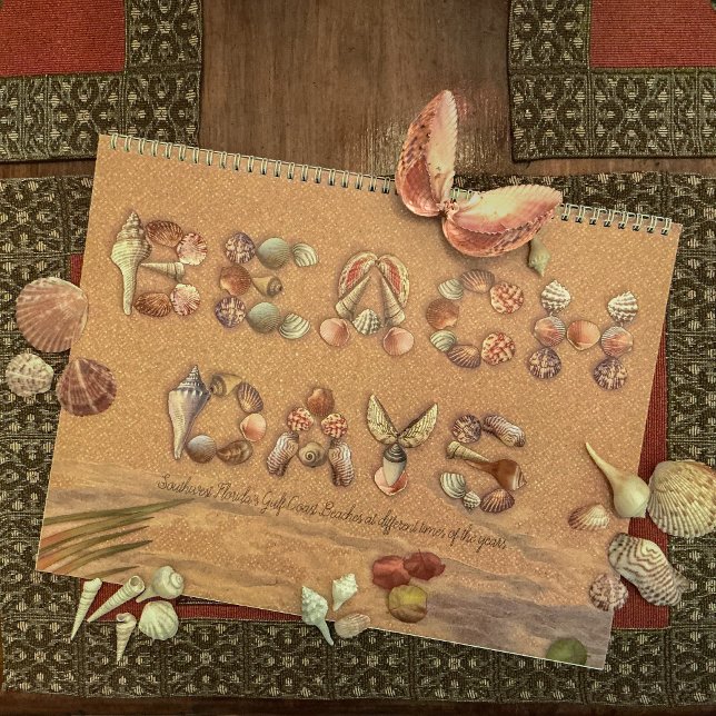 Stranddagar, Olika vyer Kalender (These are some of the sea shells we collected to make this artwork.)
