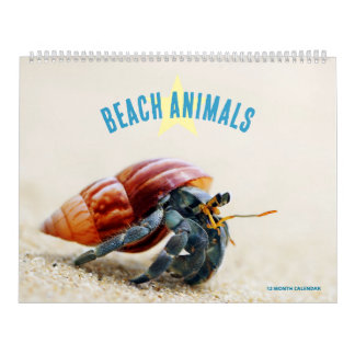 Stranddjur Kalender
