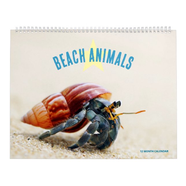 Stranddjur Kalender (Omslag)