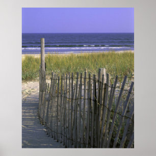 Stranddyner Poster