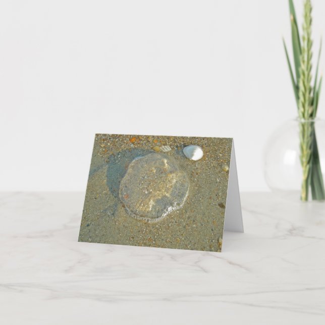 Stranded Jellyfish Note Card Kort (Framsida)