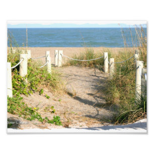 Stranden går dynen roped av Florida strandfärg Fototryck
